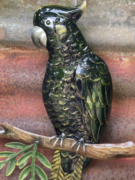 Black Cockatoo on a Branch