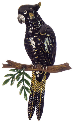 Black Cockatoo on a Branch