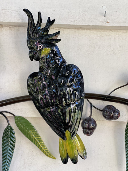 Black Cockatoo Trio on a Gumtree Branch