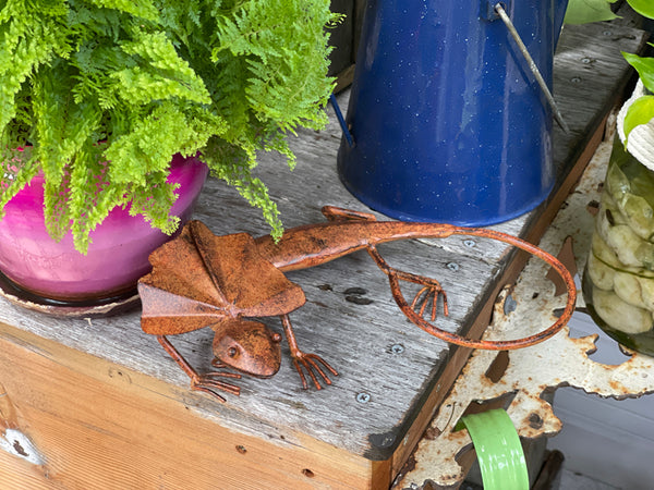 Rustic Frilled Neck Lizard