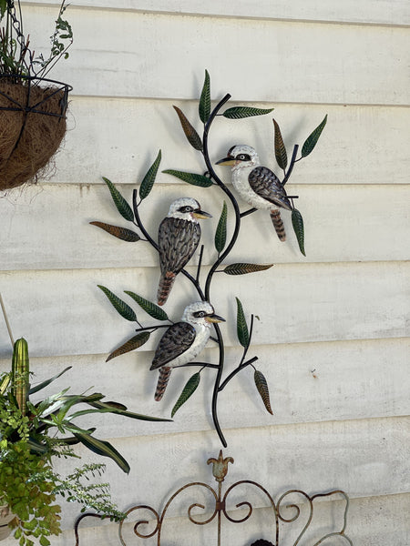 Kookaburras in a Gumtree