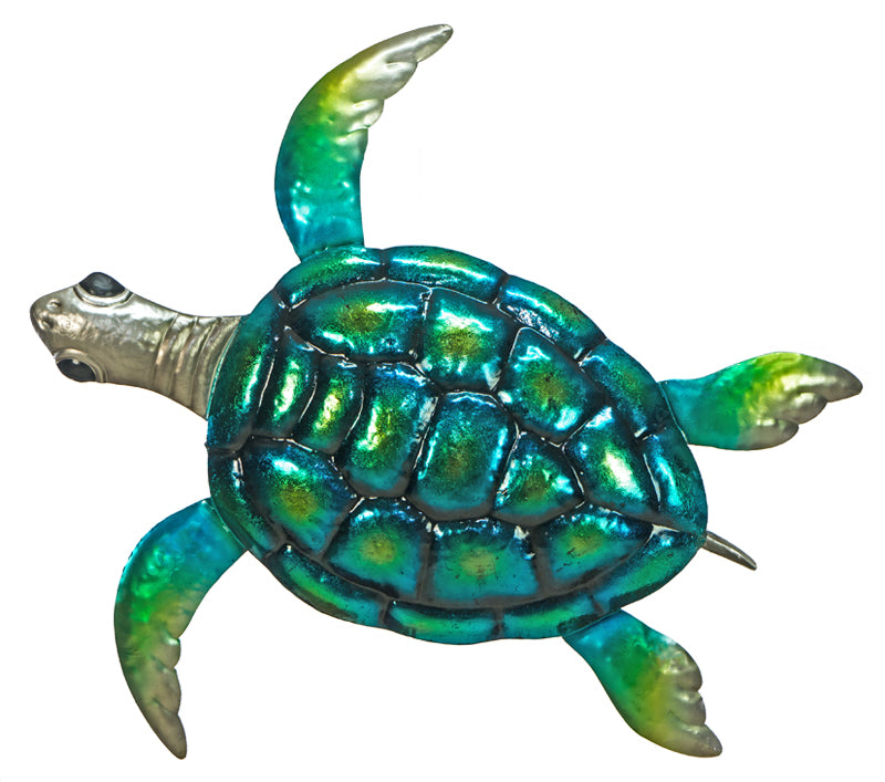 Sea Turtle